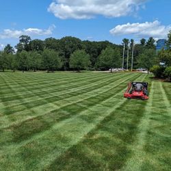 Grass Cutting 