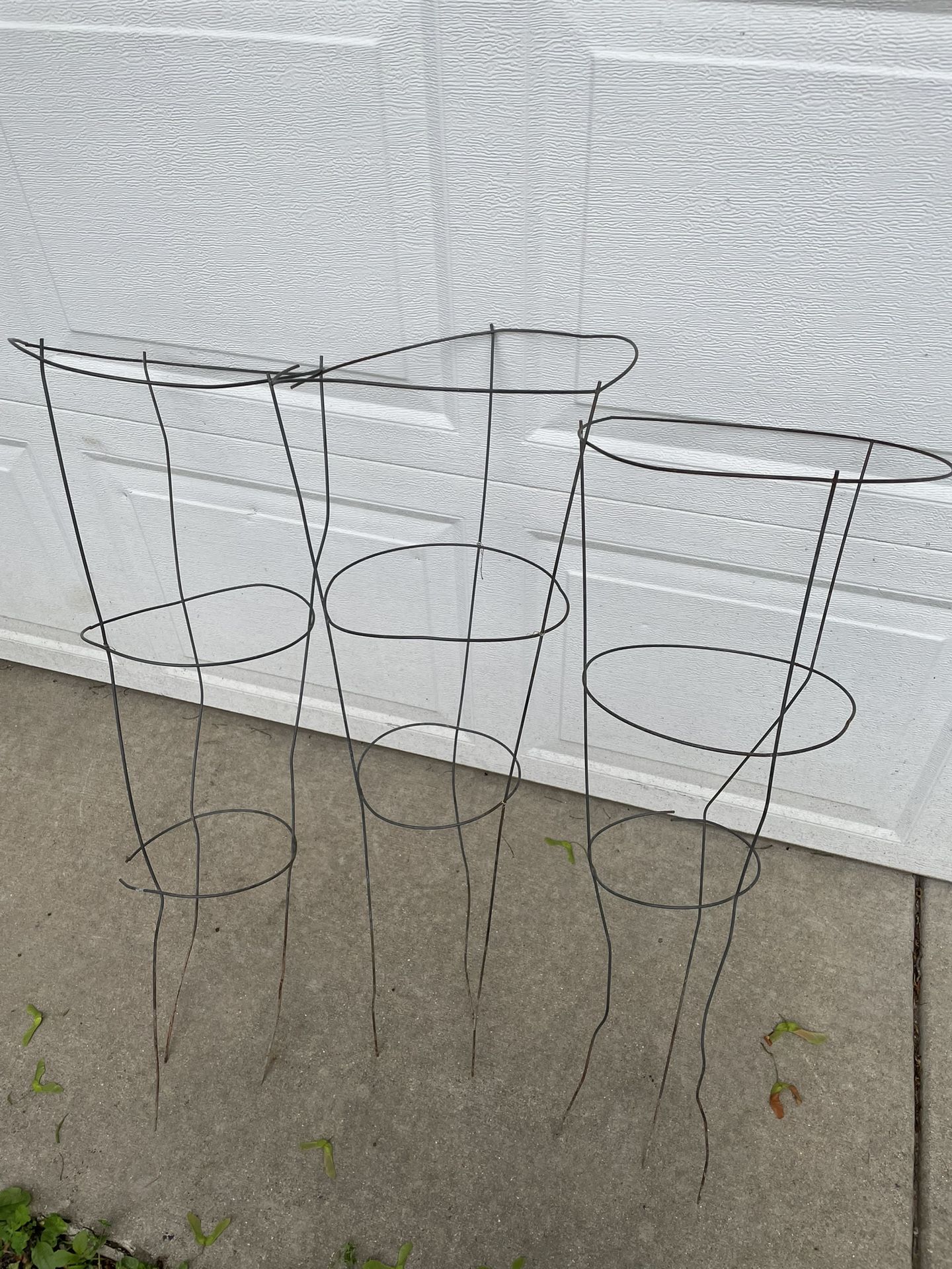 Tomato Cages