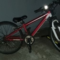 Performance 20in  Kids Mountain Bike