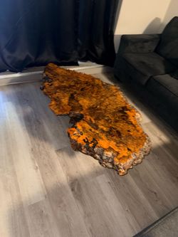 🔥 One-of-a-Kind Live Edge Burl Wood Coffee Table