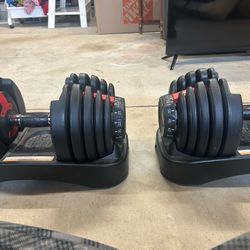 Bowflex SelectTech 552 adjustable dumbbells