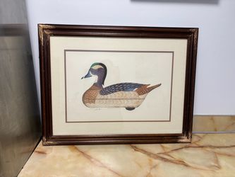 Arther Niven Signed Limited Edition Vintage Wood Duck Hen Print