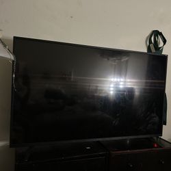55 Inch Sceptre TV 