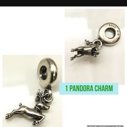 1 Pandora Charm