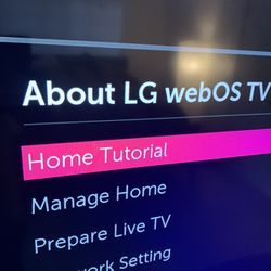 70 Inch LGTV