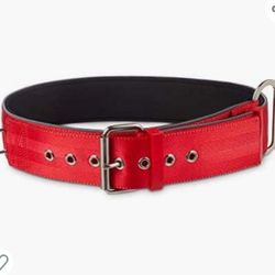 Red Collar for Big Dogs, XX-Large/3X-Large
