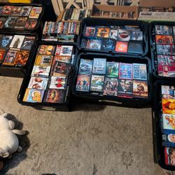 Movies / Movie Collection 
