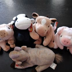 5 Beanie Babies Farm Animals Squealer Knuckles Goatee Daisy Derby