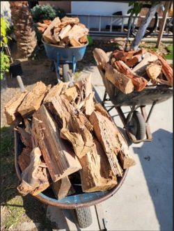 Oak firewood