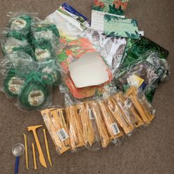 Party Supply / Dinosaur Theme