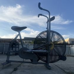 Schwinn Airdyne AD4 Exercise Bike