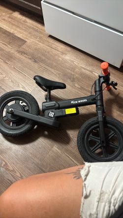5 th wheel Electric Bike
