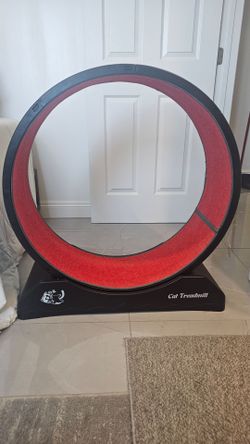 Cat treadmill
