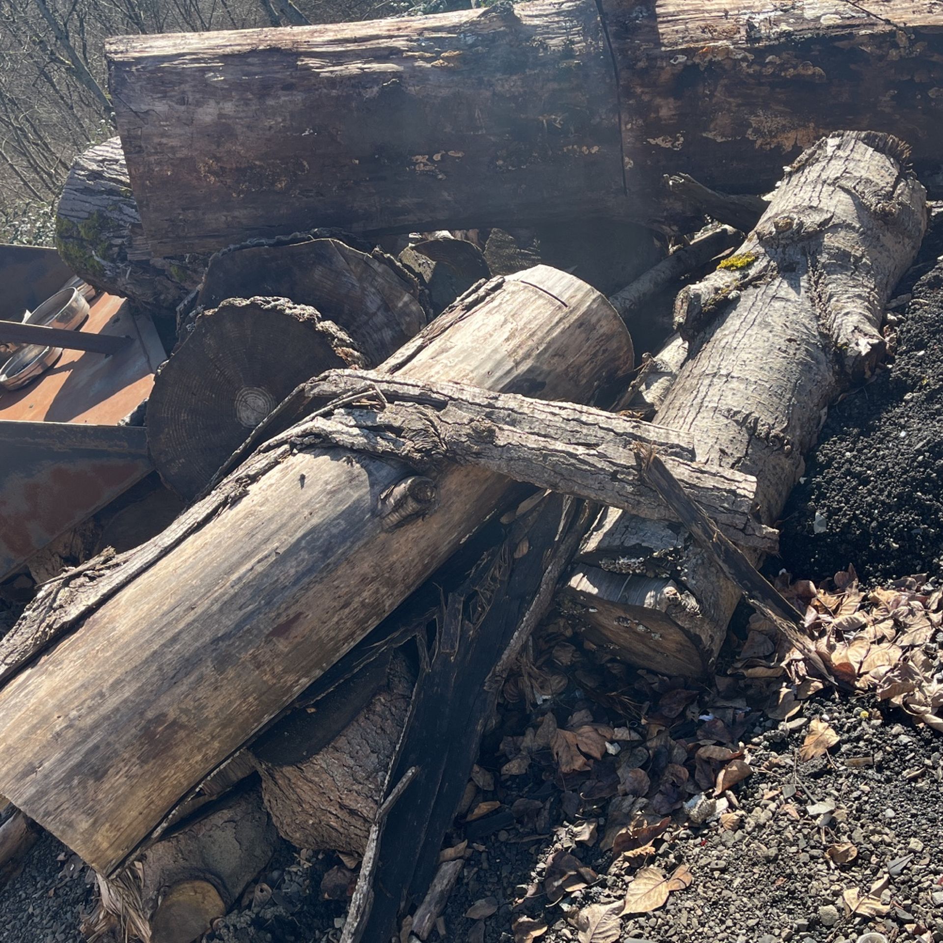 Free wood You haul