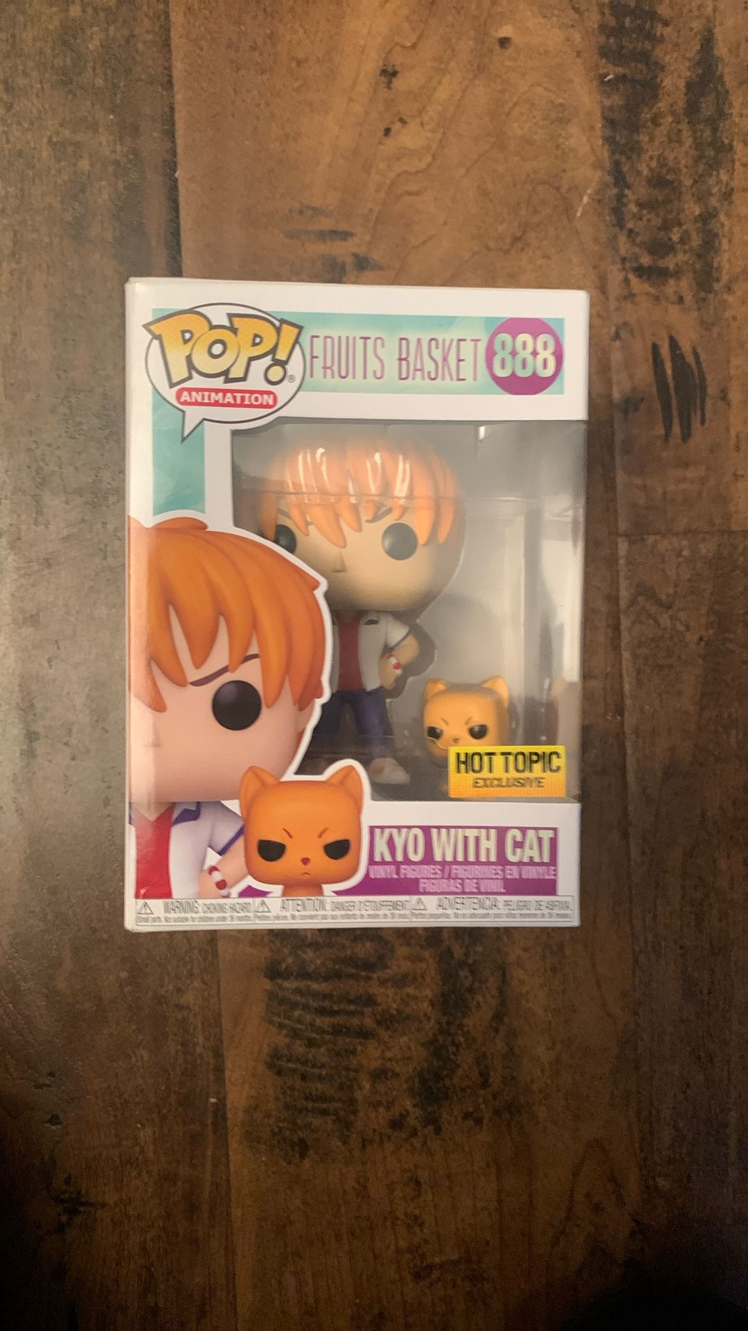 Kyo With Cat pop animation