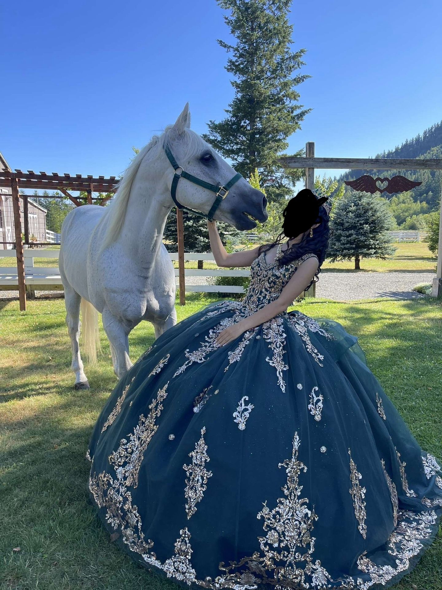 Vestido De Quinceañera