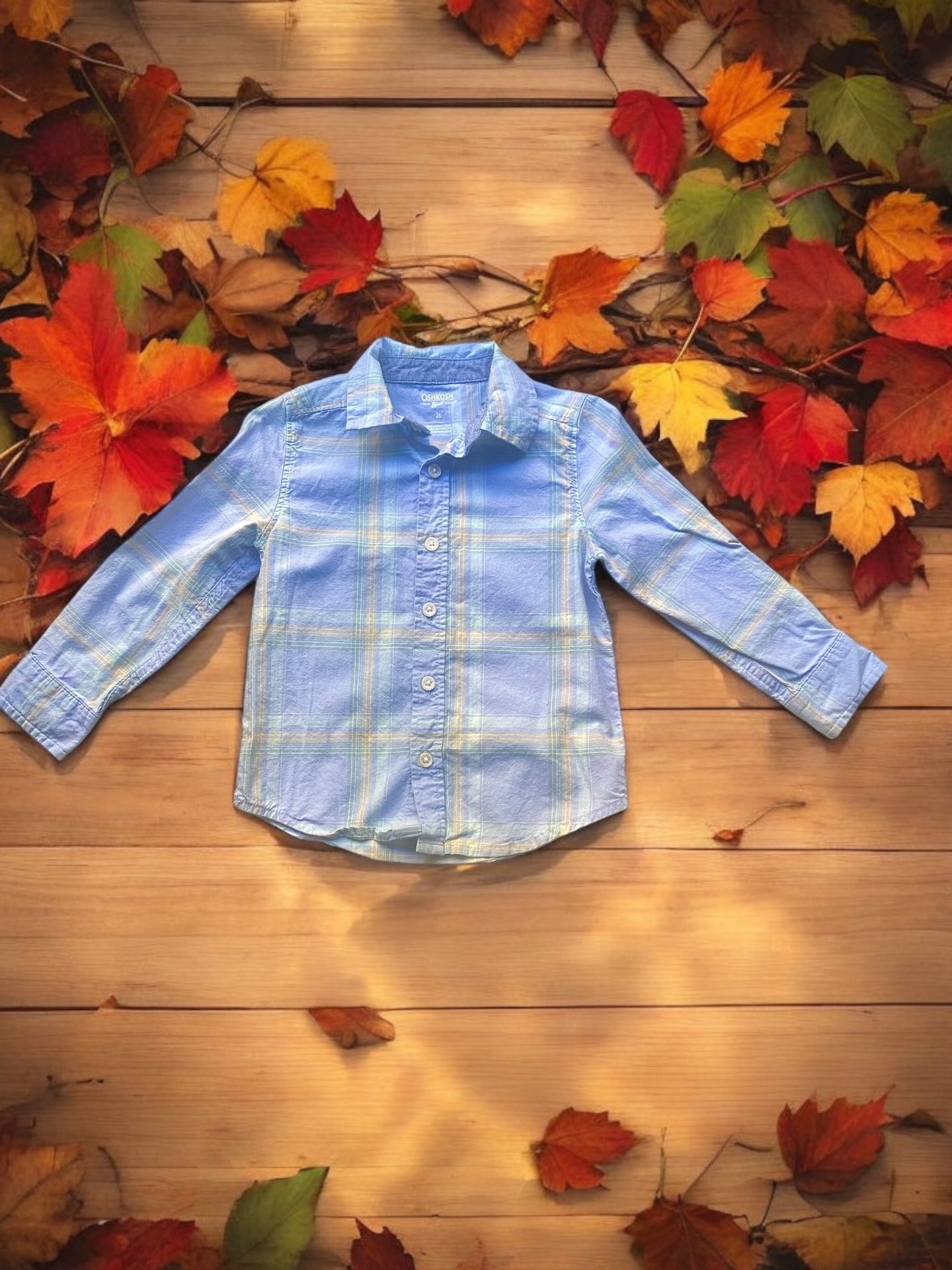 Oshkosh B’ gosh Toddler Boys - Shirt