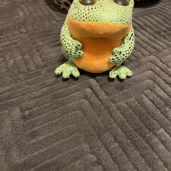 Beanie Boo Frog 