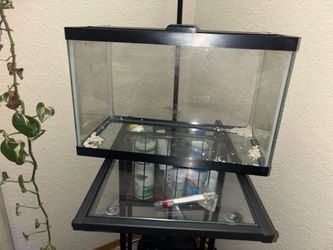 5 Gallon Beta Starter Kit