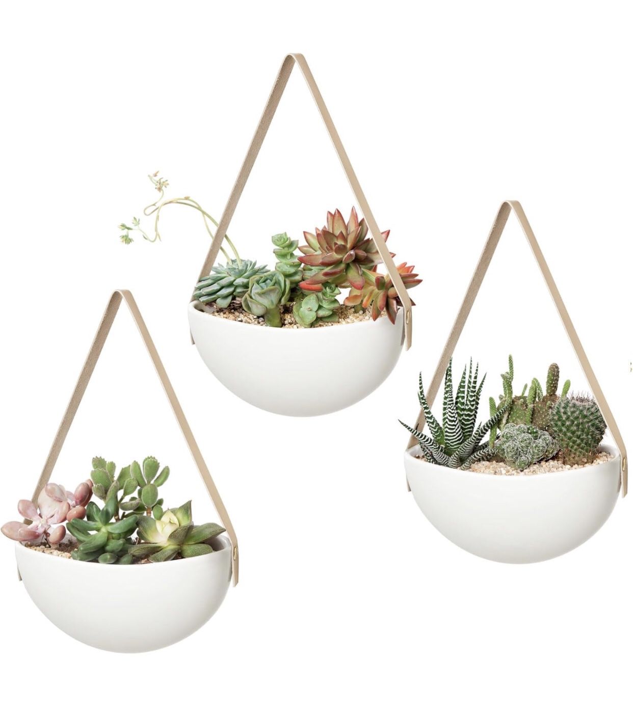 Wall Planter for Indoor Plants Ceramic Hanging Planter Holder-set Of 3 (plant Not Included)