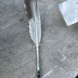 Custom Ink Pens , GOOSE,DUCK,CHICKEN,Peacock,Silky,polish, FEATHERS!!!!!