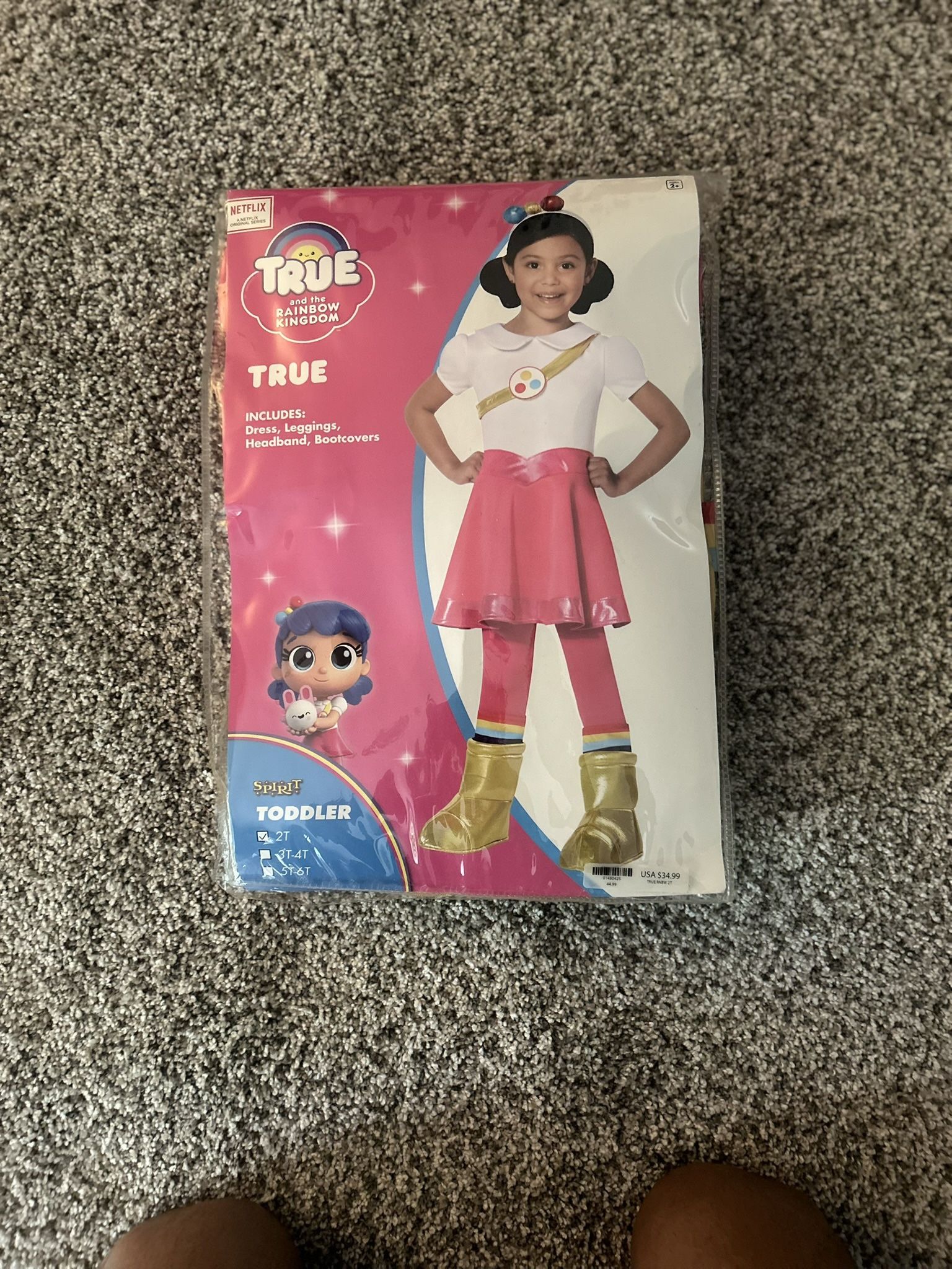 Toddler True And The Rainbow Kingdom Halloween costume