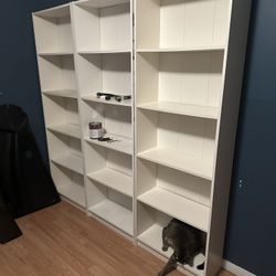3 Shelves 