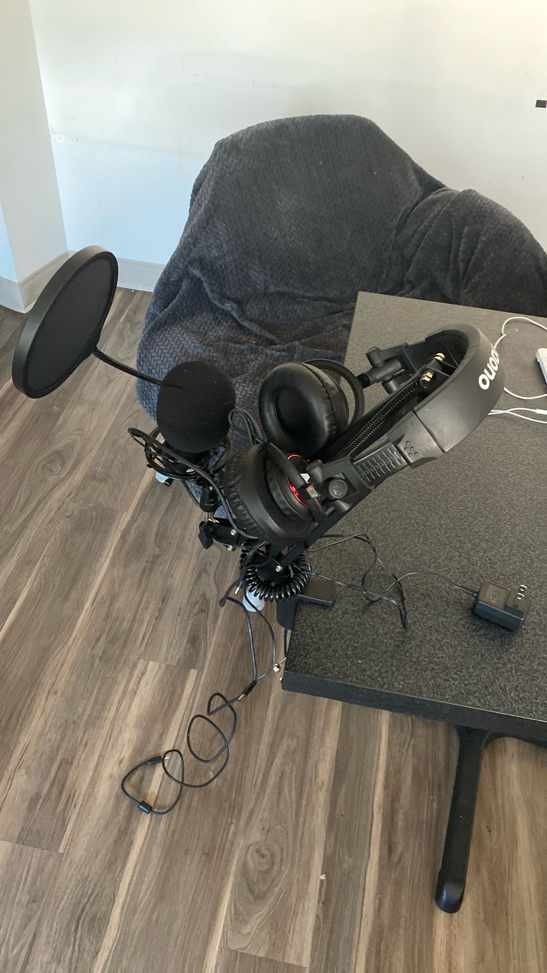 Recording mic