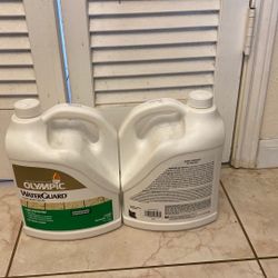 Olympic WaterGuard 1 Gallon Clear Exterior Waterproofing Wood Sealer