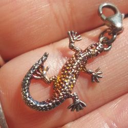 Cute Clip On Sterling Silver Lizard Signed 