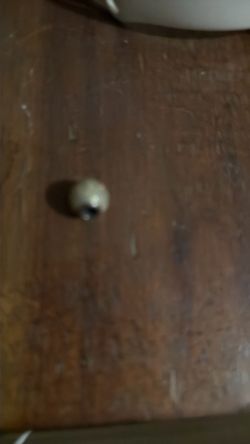 Pandora charm