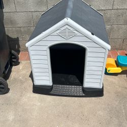 Dog House 