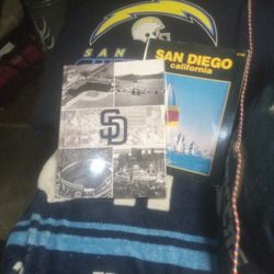 Two Books About San Diego One Never Opened