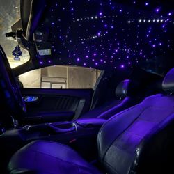  Starlights,suede Change, Logos