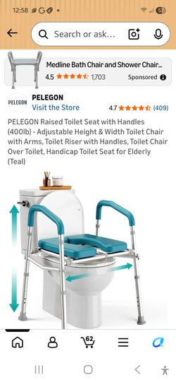 Toilet seat