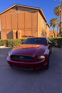 2014 ford mustang