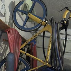 Quintana Roo Kilo Bike