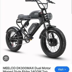 Dual motor Electric bike