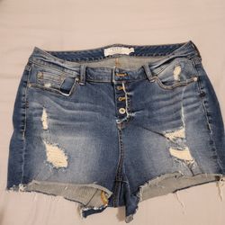Denim Torrid Size 16