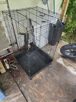 Bird Cage