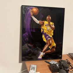 Kobe Bryant Picture