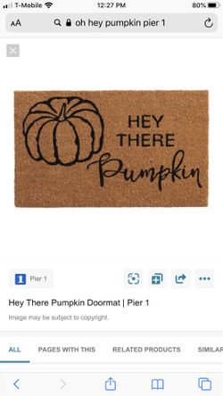 Sold out Pier 1 rug