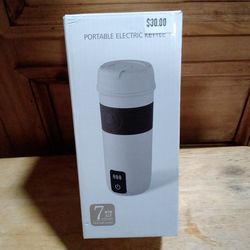 Potable electric kettle