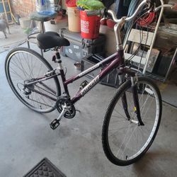 Crossroads Specialized Woman's Bike 