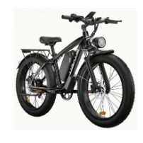 700w Bluvall Electric Bike
