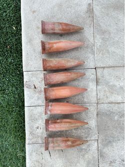 Plant Watering Spikes