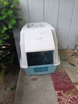 Cat box