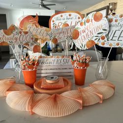 Orange Theme Party Decorations