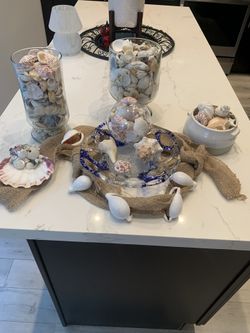 Shells And Decor