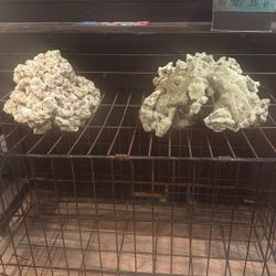 Large And Small Aquarium Rocks And Shell Shells 